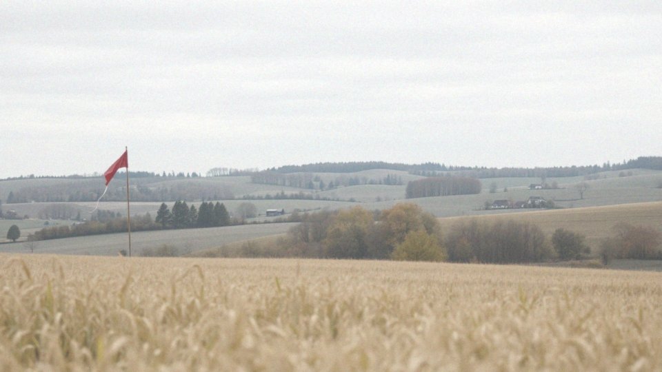 Jakie są prognozy dotyczące prędkości wiatru w najbliższych dniach?