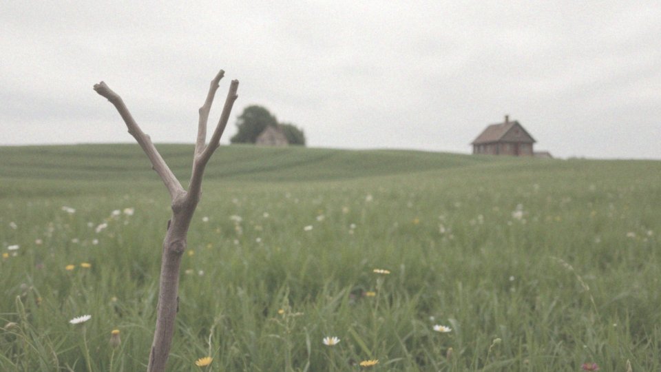 Jak szukać wody różdżką? Praktyczny przewodnik po radiestezji